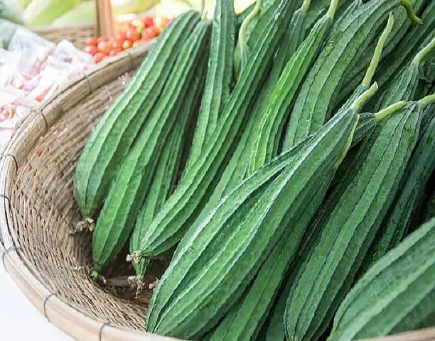 Turai/Dodka